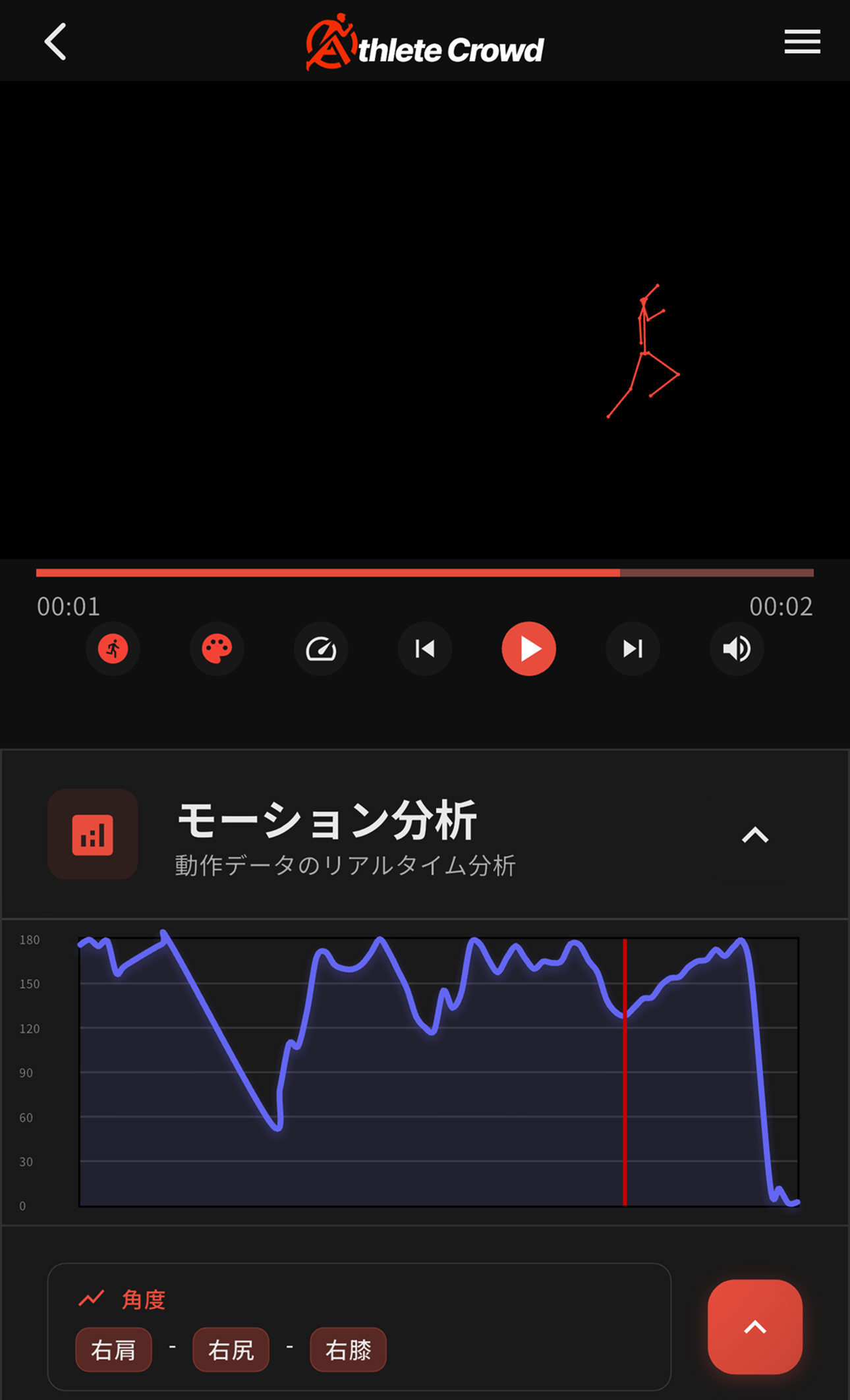 ボーン表示の画面